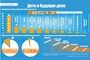 Инфографика: Александр ПОНОМАРЁВ.